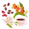 Coffee set, red berry fruit on branches, flowers on twig and roasted grain, coffee cup