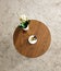 Coffee table with cup of cappuccino coffee and plant., on white background