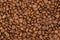 Coffee texture. coffee beans as background wallpaper. arabica cofee bean