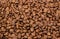 Coffee texture. coffee beans as background wallpaper. arabica cofee bean