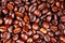 Coffee texture. Roasted coffee beans as background wallpaper. Beautiful arabica real cofee bean illustration for any