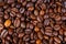 Coffee texture. Roasted coffee beans as background wallpaper. Beautiful arabica real cofee bean illustration for any