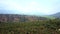 Coffee trees grow on mountain hill against distant city