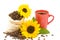Coffeebeans cup sunflower 2