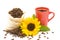 Coffeebeans cup sunflower 3