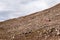 A Cog Railway train slowly wends its way up the mountain