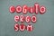 Cogito, ergo sum, latin phrase meaning I think, therefore I am, composed with red stone letters