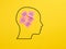 Cognitive confusion, human thinking, problem solving or mental disorder concept. Sticky note papers in a human head symbol with