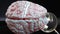 Cognitive neuroscience in human brain