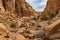 Cohab Canyon Trail, Capitol Reef National Park, Utah.