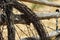 Coil of barbed wire on an old fence