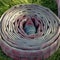 Coiled fire hose on a grassy ground