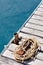 Coiled marine rope on wooden pier