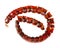 Coiled necklace from faceted amber isolated