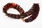 Coiled necklace from polished amber flat pieces