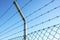 Coiled razor wire with its sharp steel barbs on top of a mesh perimeter fence ensuring safety and security
