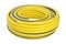 Coiled rubber garden hose isolated