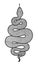 Coiled snake detailed illustration