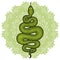 Coiled snake detailed illustration