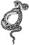 Coiled snake tattoo black and white