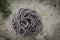 Coiled thick braided gray rope