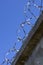 Coils of barbed wire with sharp spikes closeup