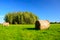 Coils of hay on a green meadow, copse and blue sky - blur and contrasting colors