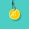 Coin bitcoin on hook. Crypto currency