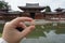 Coin of Byodo-in