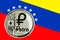 Coin Cryptocurrency Venezuela Petro