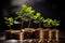 Coin cultivation thrives savings grow into a flourishing business tree