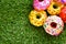 Coin folding with Ribbon is shaped a colorful group of donut On green grass for ordination scatter ceremony of buddhism.