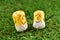 Coin folding with Ribbon is shaped a colorful happy egg smile On green grass for ordination scatter ceremony of buddhism.