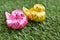 Coin folding with Ribbon is shaped a little duck On green grass for ordination scatter ceremony of buddhism.