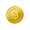 Coin icon. Thailand Baht symbol. Golden coin