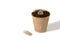 Coin and a peat pot for seedlings lying together, in a rural agricultural production company isolated over white