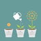 Coin seed, watering can, dollar plant. Financial growth concept. Flat design infographic.
