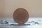 Coin twenty cents. Money of the Republic of Belarus