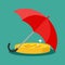 The coin is under the umbrella. Money protection concept. vector illustration
