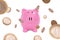 Coins Around Piggy Bank