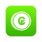 Coins cruzeiro icon digital green