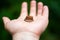 Coins in hand. On the woman`s blurry palm is a stack of coins. Donations. Selective focus.