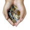 Coins in hands in isolated white background, 