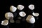 Coins inside broken egg shells