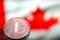 Coins litecoin, against the background of Canada flag, concept o