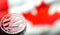 Coins litecoin, against the background of Canada flag, concept o
