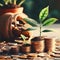 Coins and plant growing on them. Business and finance concept.