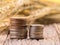 coins on ripe wheat and straw detail on blur background