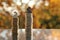 Coins stack of cash of the European Union with a model of colored bunnies on a blurred background autumn landscape in the