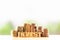 Coins stacking and Wooden Blocks with the text INVEST on greenery nature background.